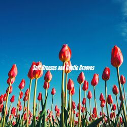Cover of Soft Breezes and Gentle Grooves