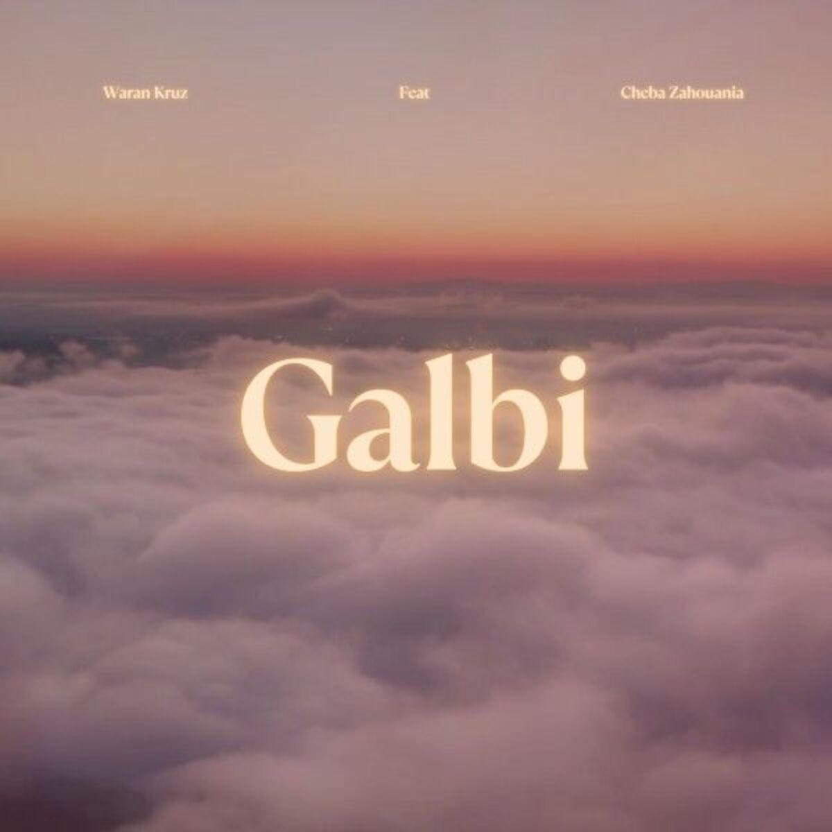Album cover of Galbi