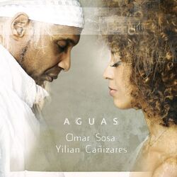 Cover of Aguas