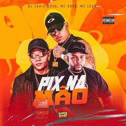 Cover of Pix na mão