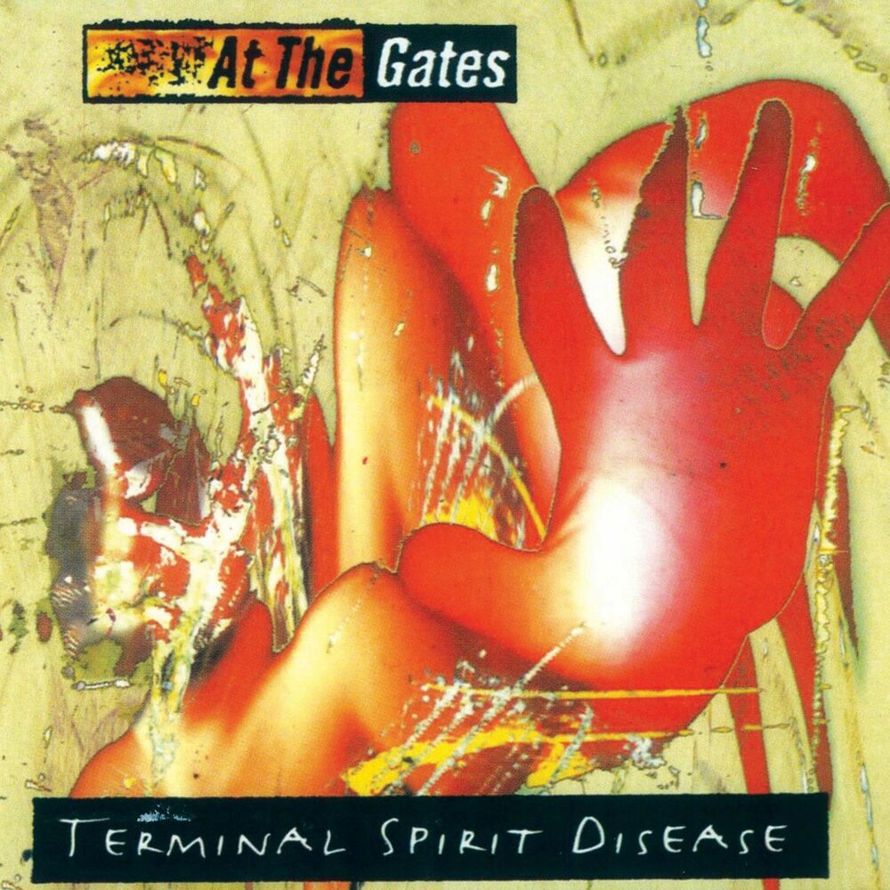 Picture of Terminal Spirit Disease