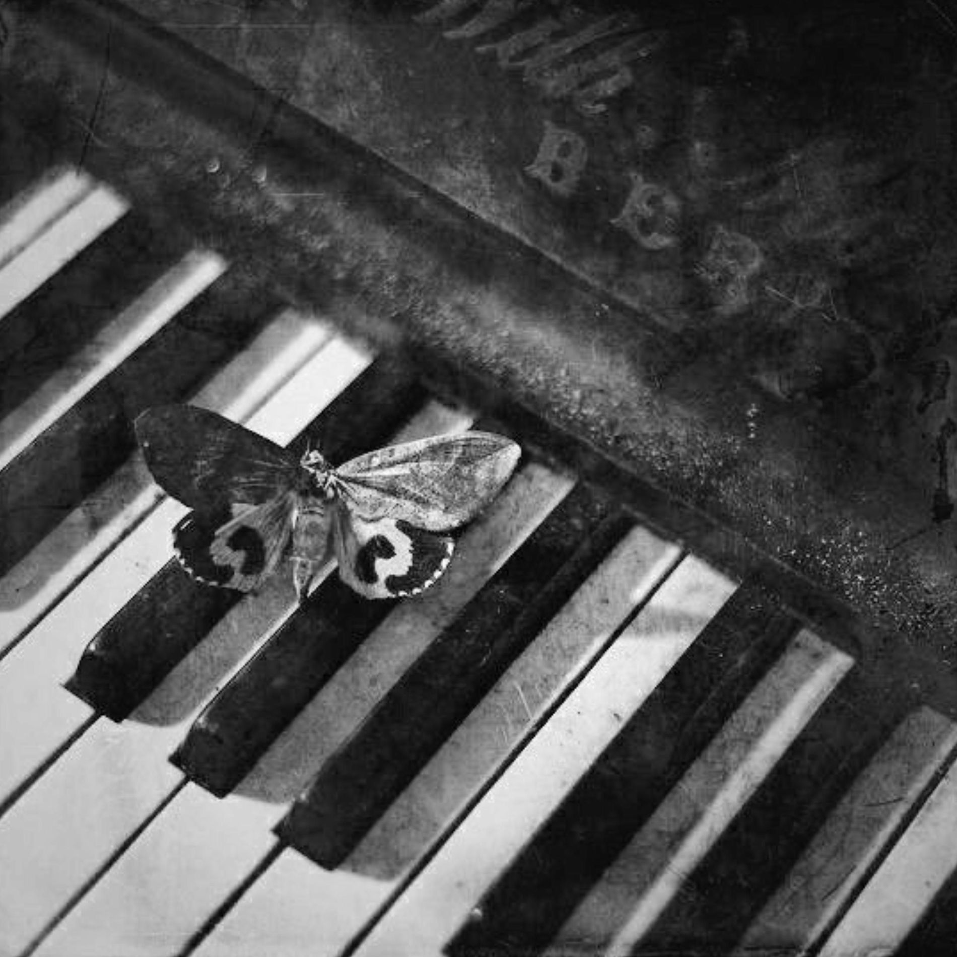 Album cover of Silent Hill Piano Versions