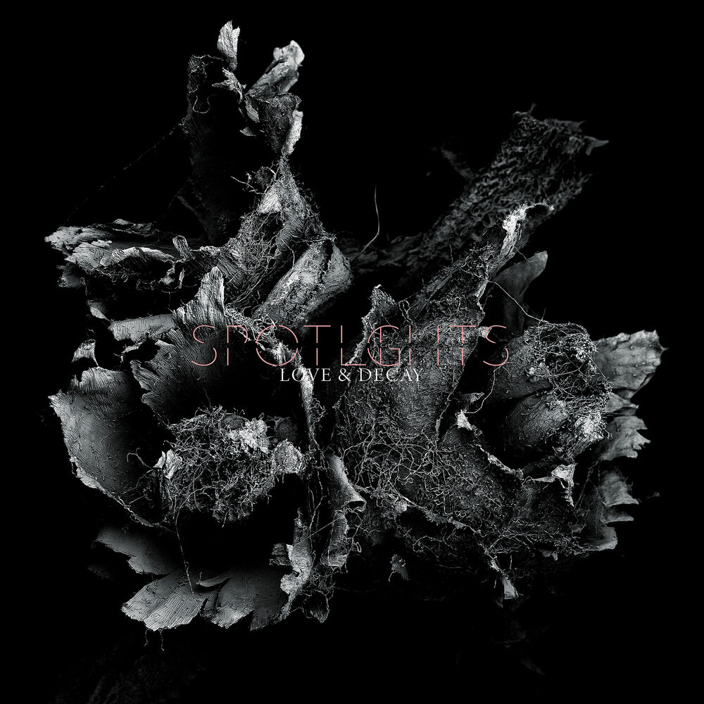Picture of Love & Decay