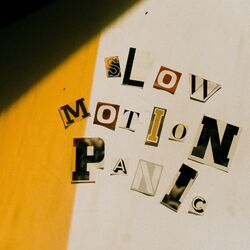 Cover of Slow Motion Panic