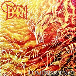 Cover of Luminescence