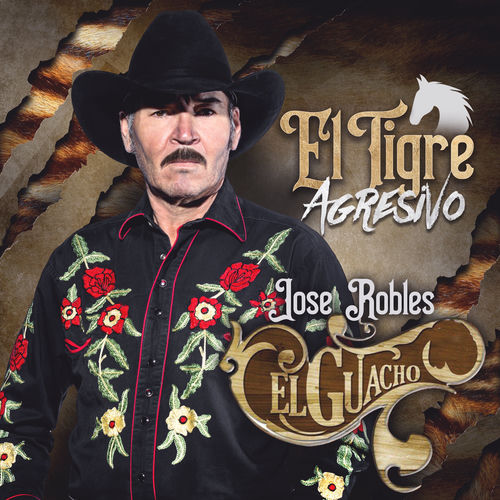 Descargar Partido la Trinidad - Jose Robles "El Guacho" MP3