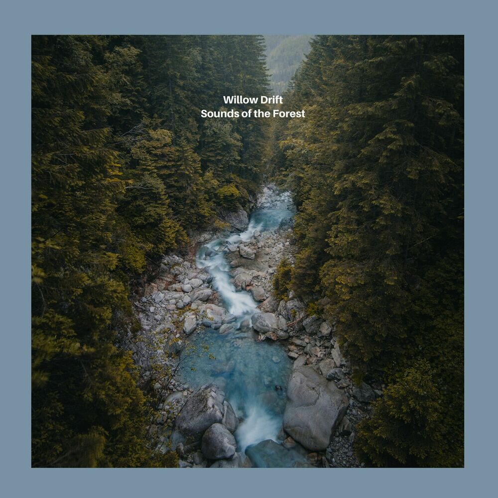 Picture of Sounds of the Forest
