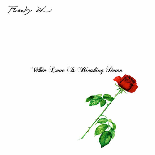 ★激レア有★ Funky DL When love breaking down Funky DL – When Love Is Breaking Down – CD (Album), 2000