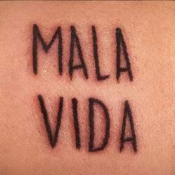 Cover of Mala Vida