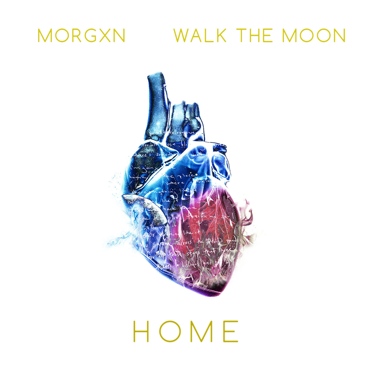 Album cover of home