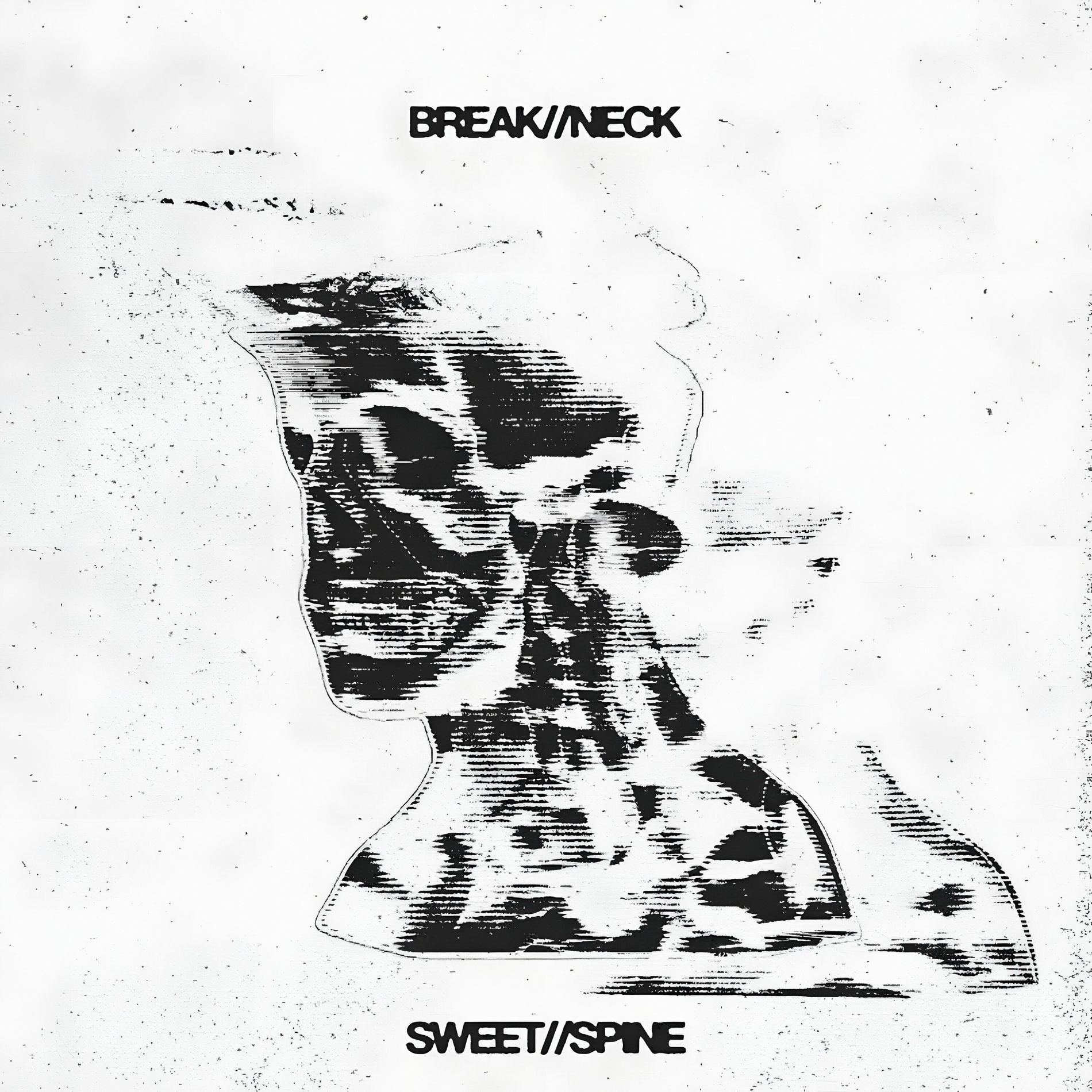 Album cover of break//neck