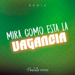 Cover of Mira Como Esta la Vagancia