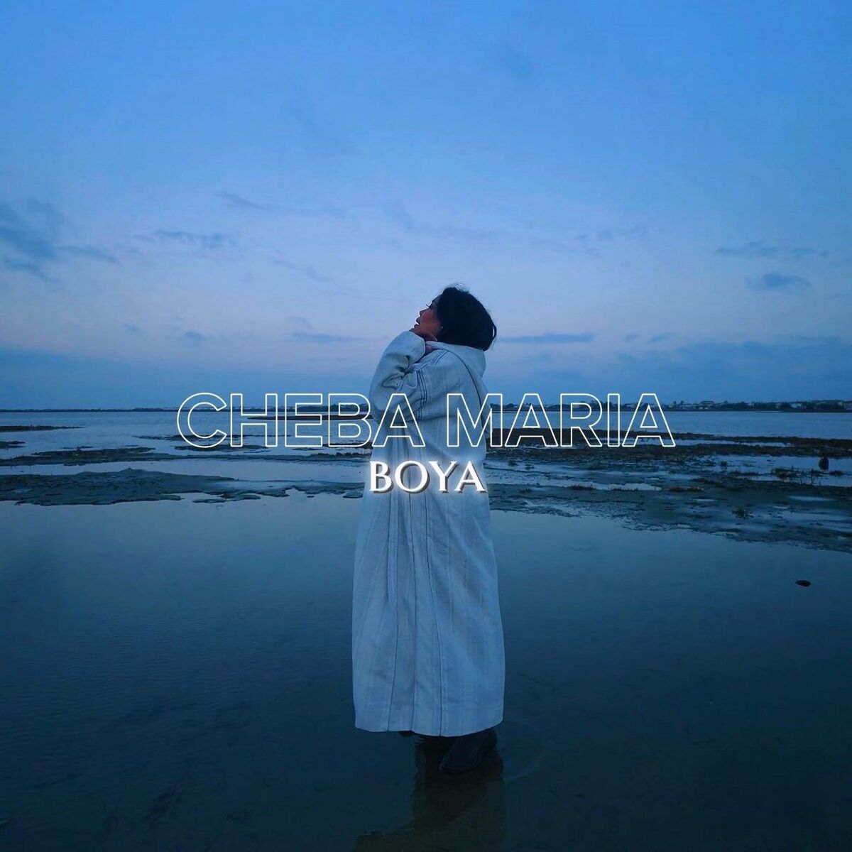 Album cover of Boya