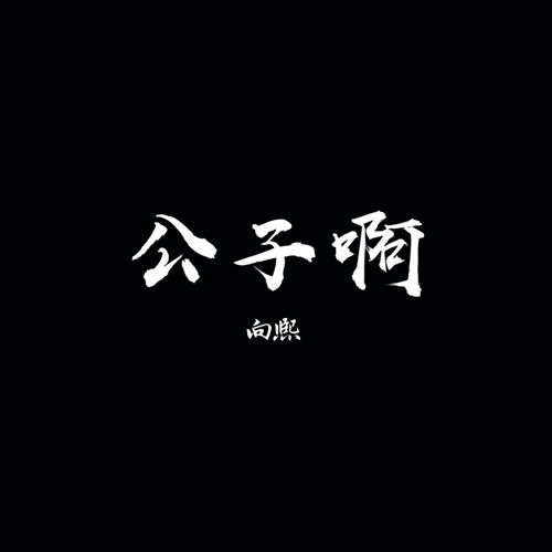 公子啊