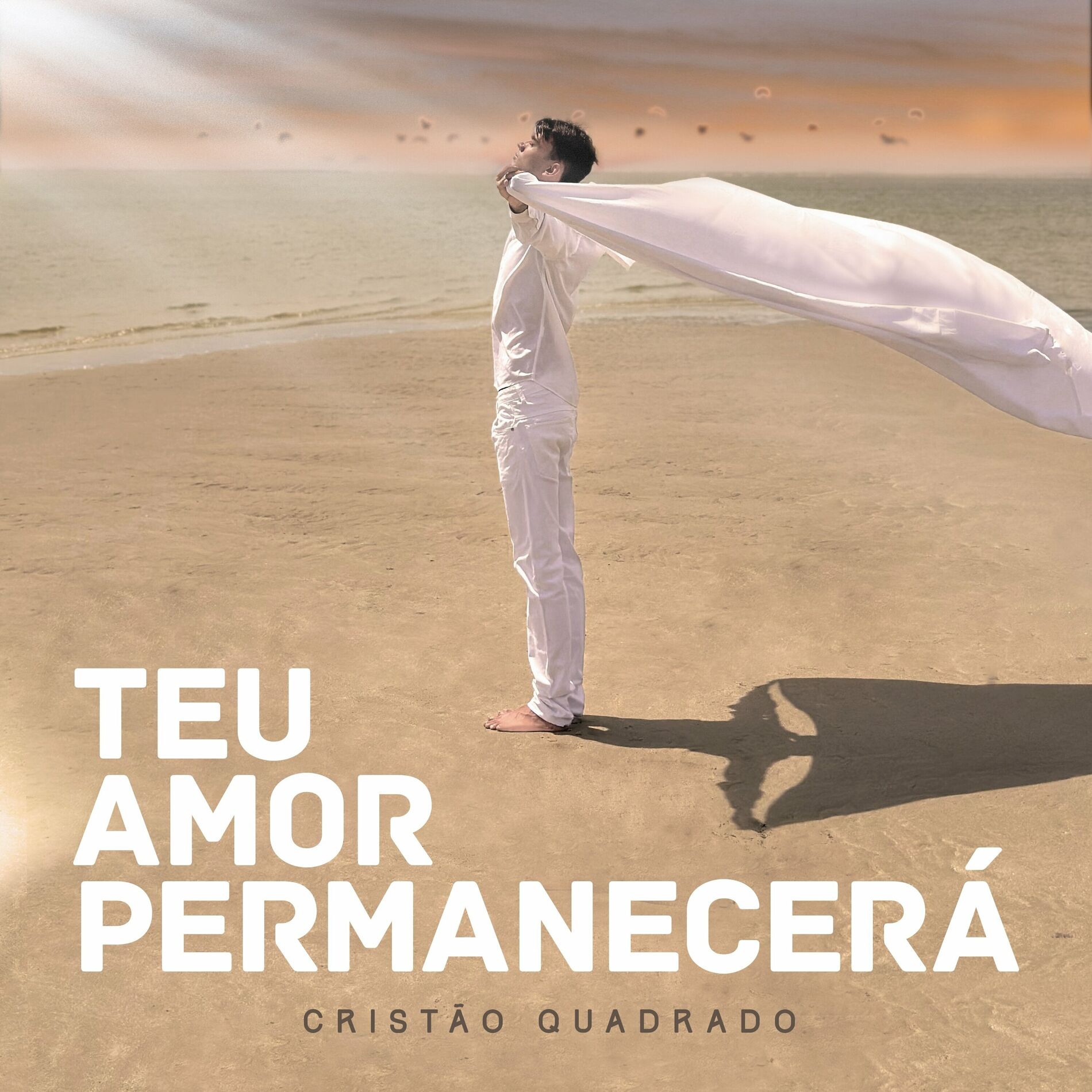 Album cover of Teu Amor Permanecerá