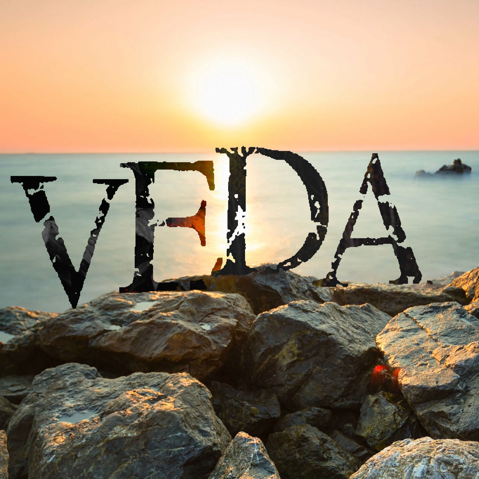 Album cover of Veda