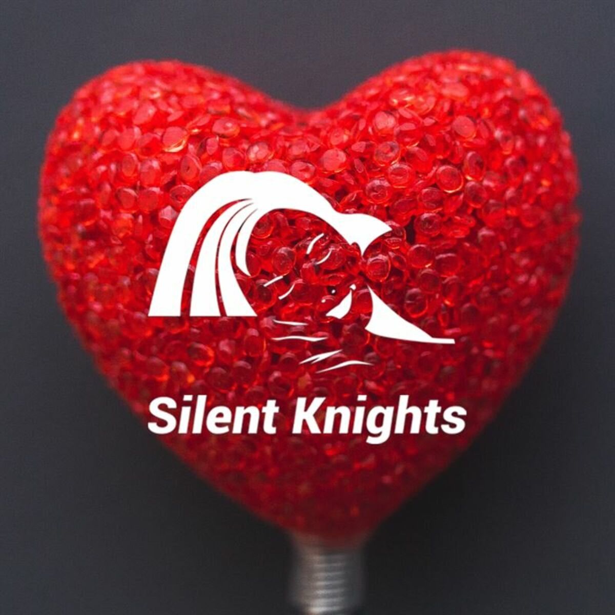 Album cover of Shhhh Heartbeats for Sleep