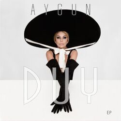 Cover of DUY
