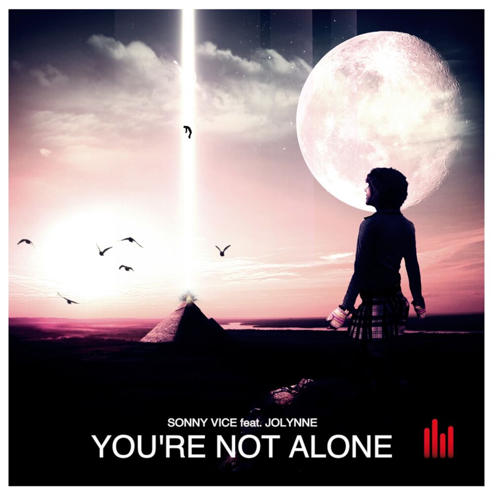 Picture of You're Not Alone