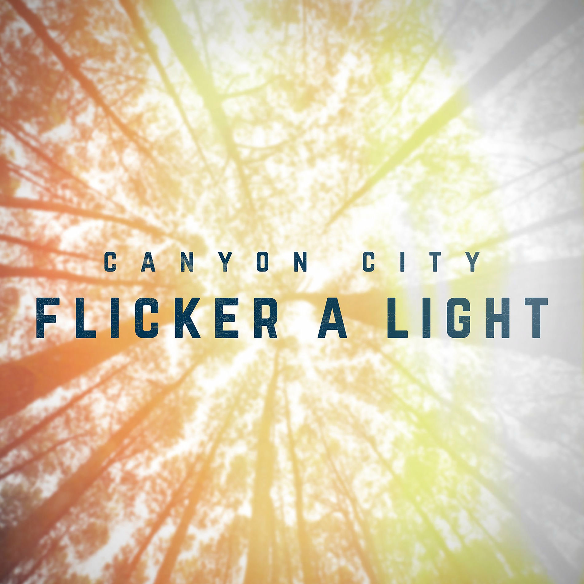Album cover of Flicker a Light
