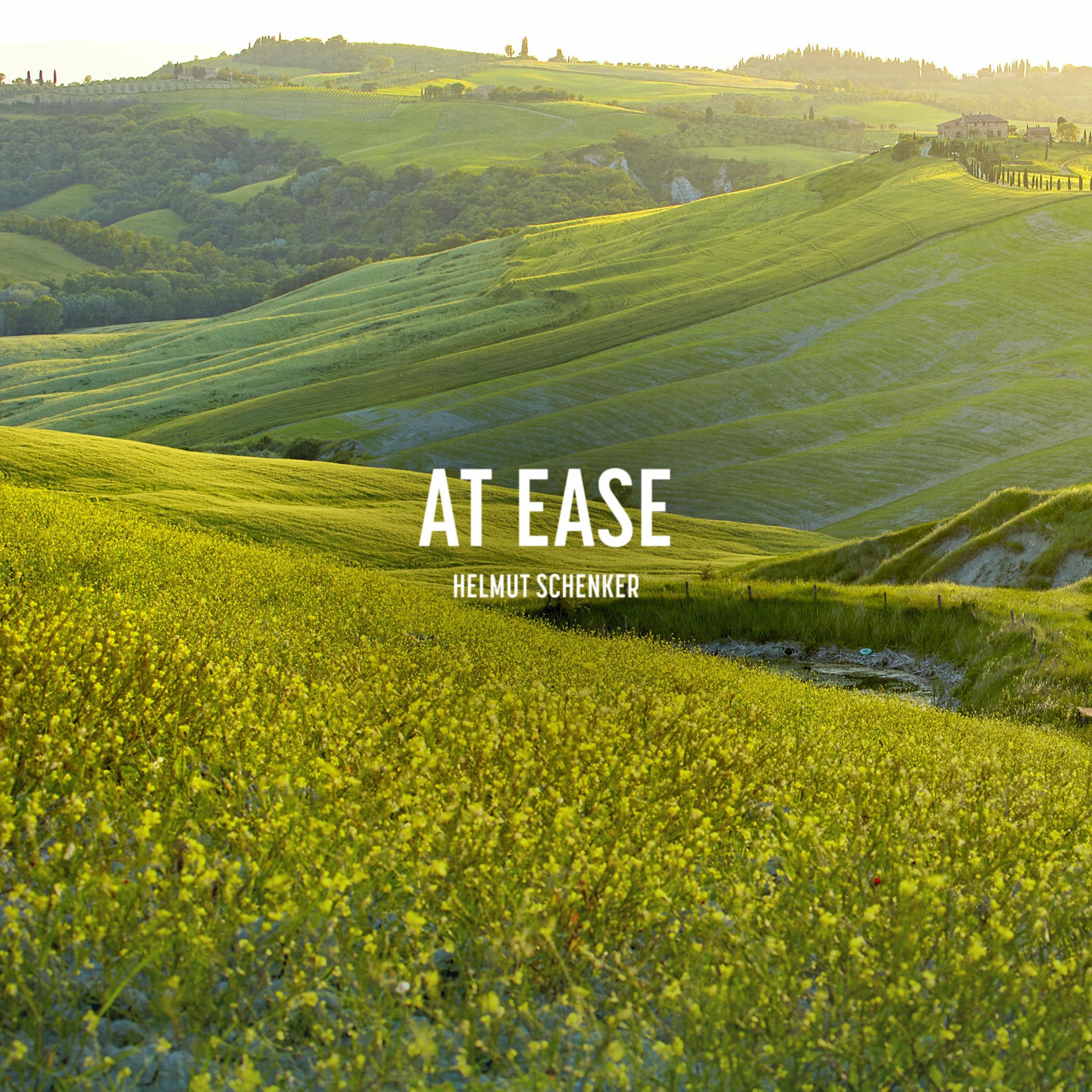 Album cover of At Ease