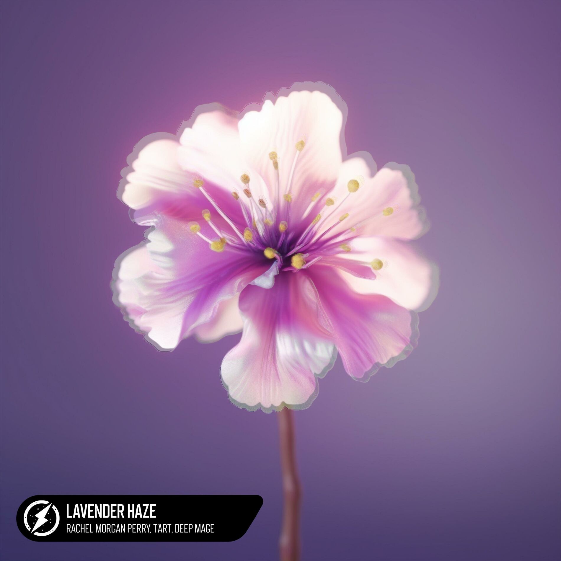 Album cover of Lavender Haze