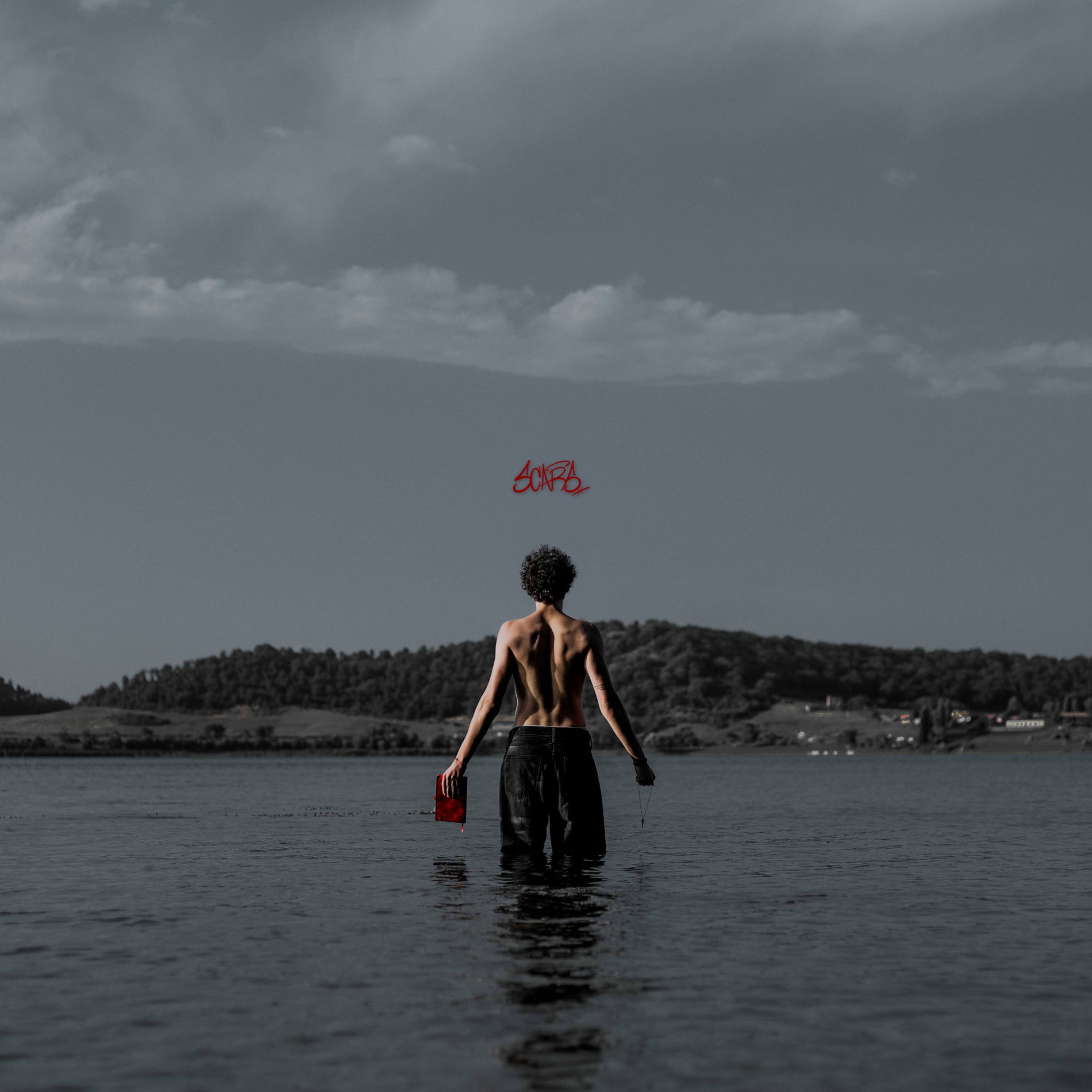 Album cover of EMERGÈ