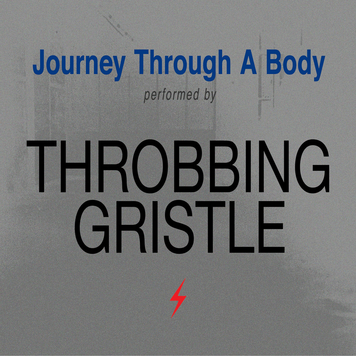 Album cover of Journey Through A Body