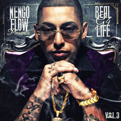 Cover of Real G4 Life Vol. 3