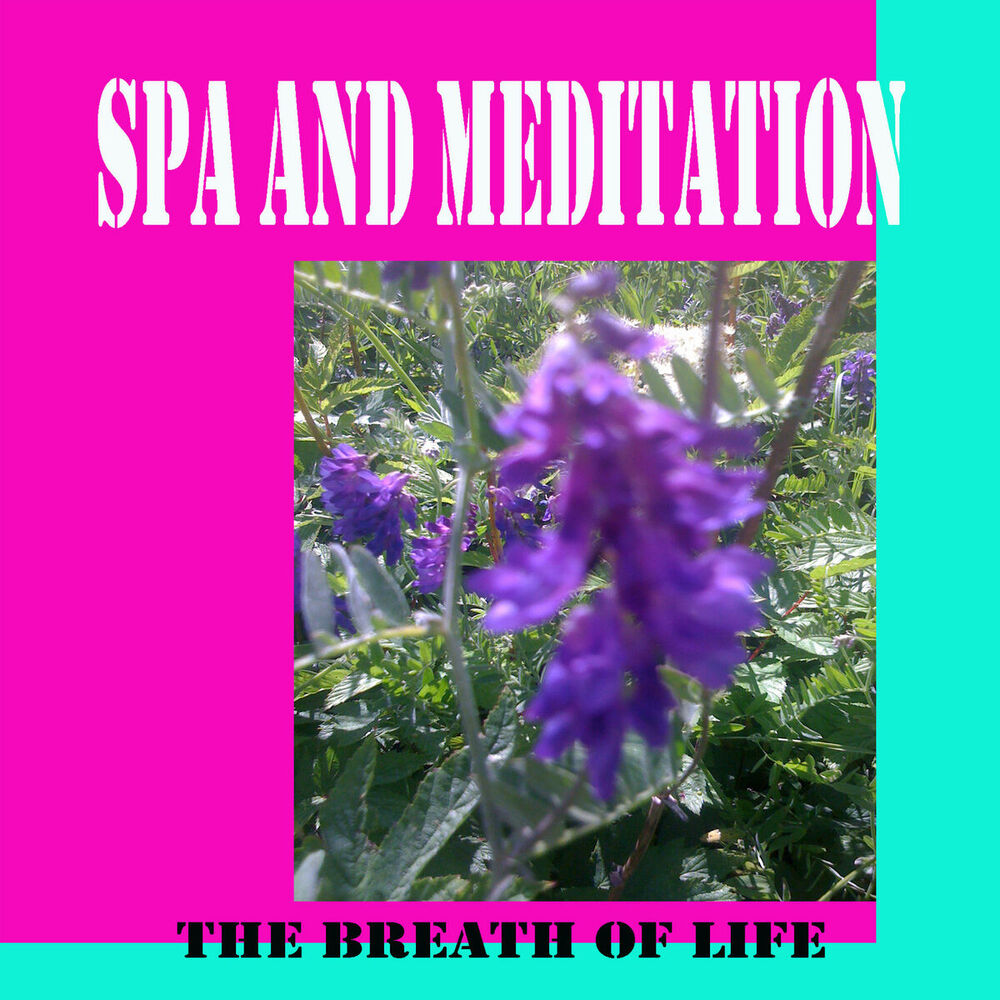 Picture of Spa and Meditation