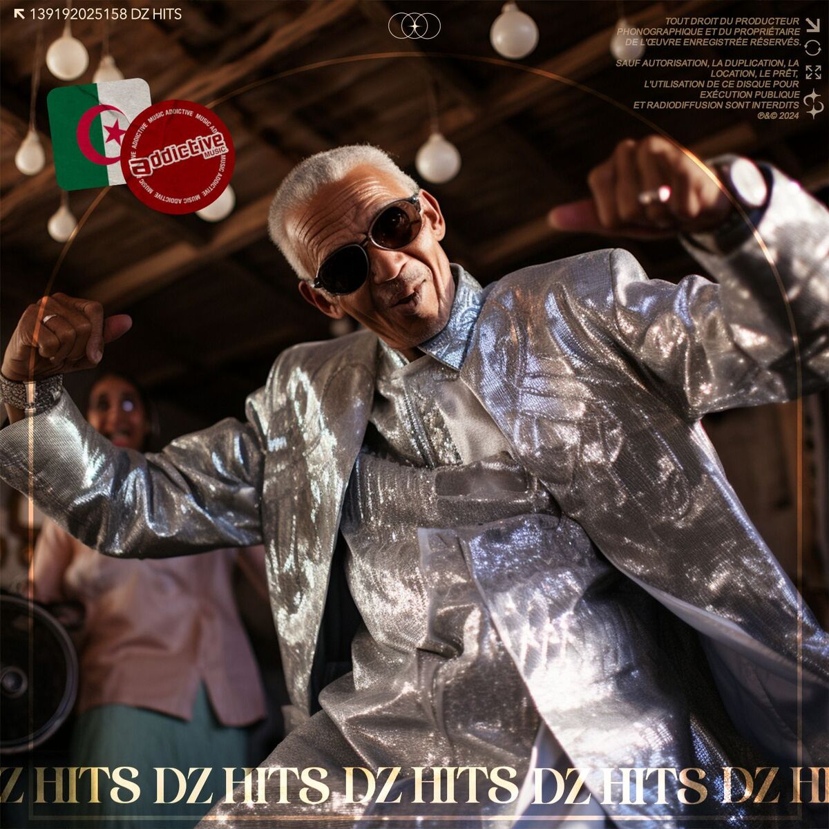 Album cover of DZ HITS 2