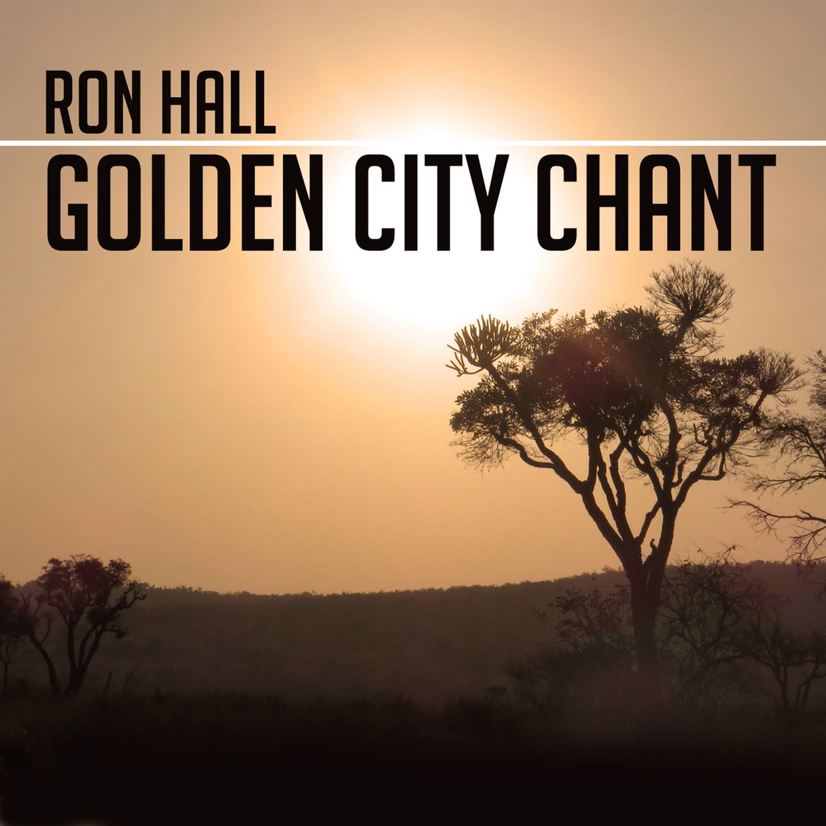 Album cover of Golden City Chant