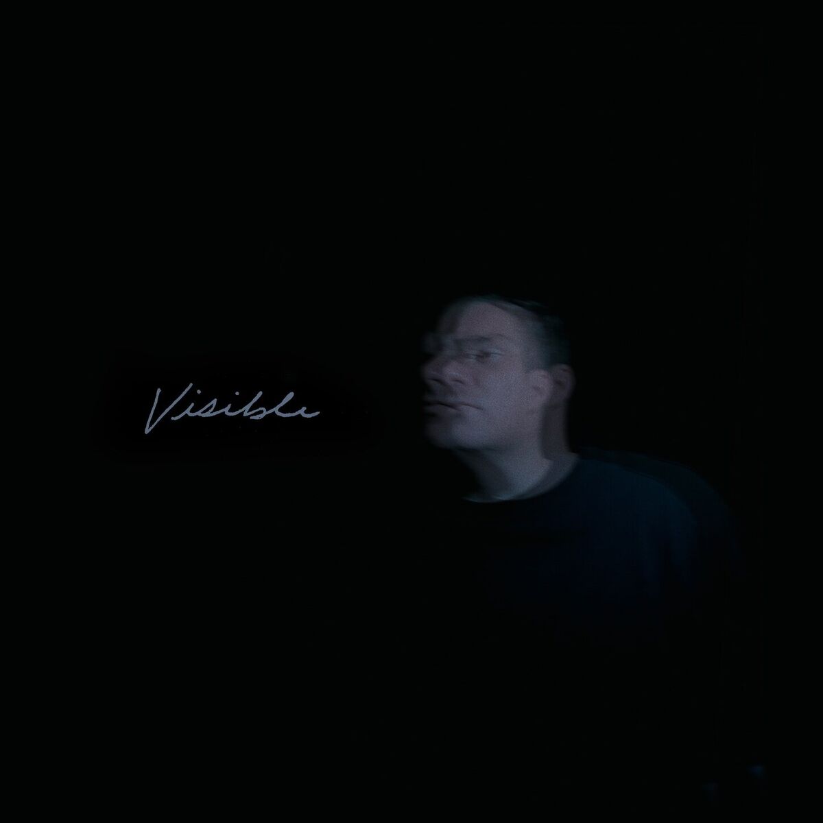 Album cover of Visible