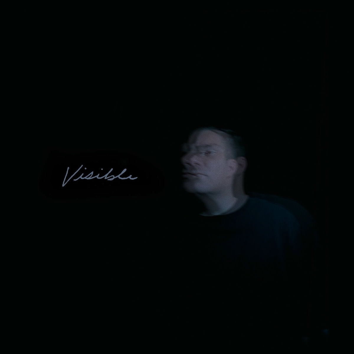 Album cover of Visible