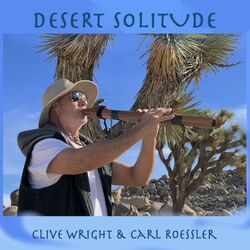 Cover of Desert Solitude
