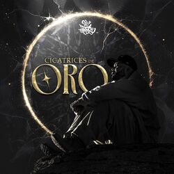 Cover of Cicatrices de Oro