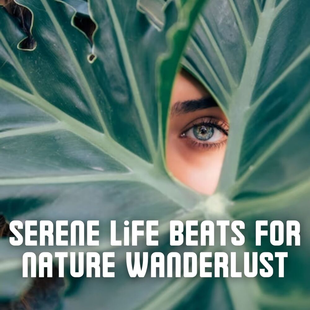 Picture of Serene Life Beats for Nature Wanderlust