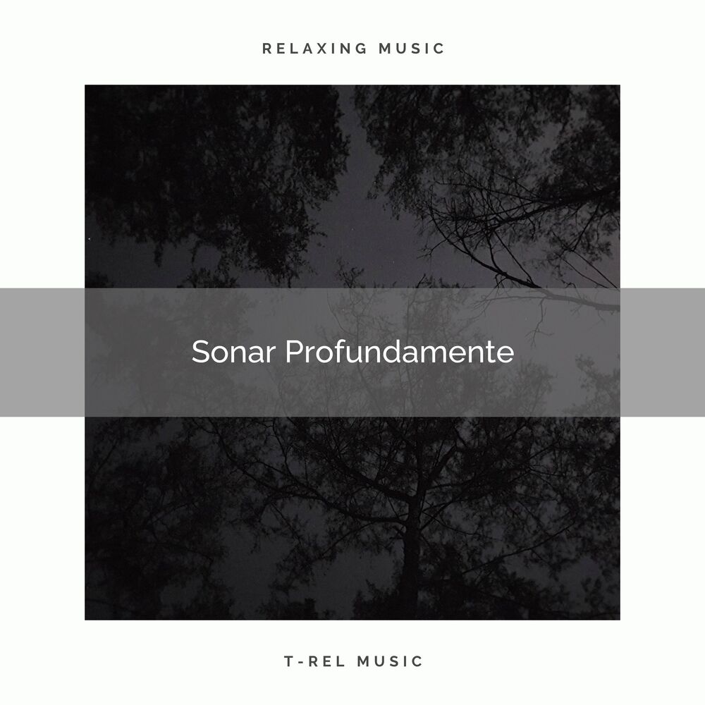 Picture of Sonar Profundamente