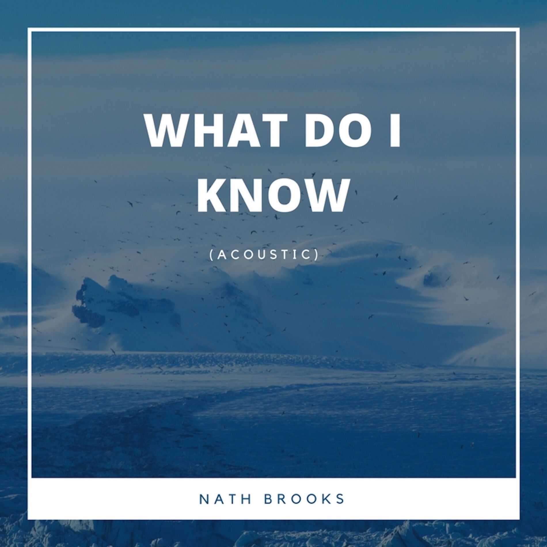 Album cover of What Do I Know