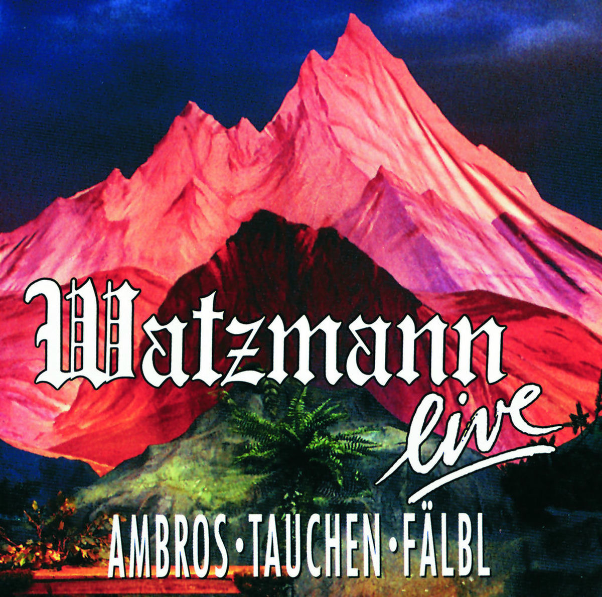 Album cover of Der Berg