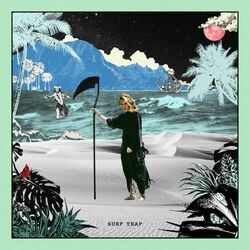 Cover of Surf Trap