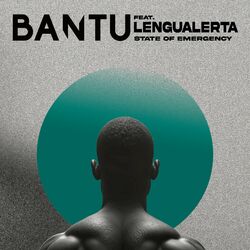 Cover of State Of Emergency (Lengualerta Version)