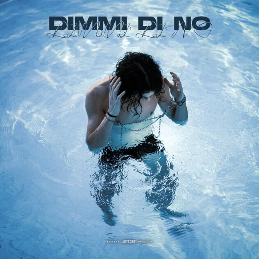 Picture of Dimmi di no