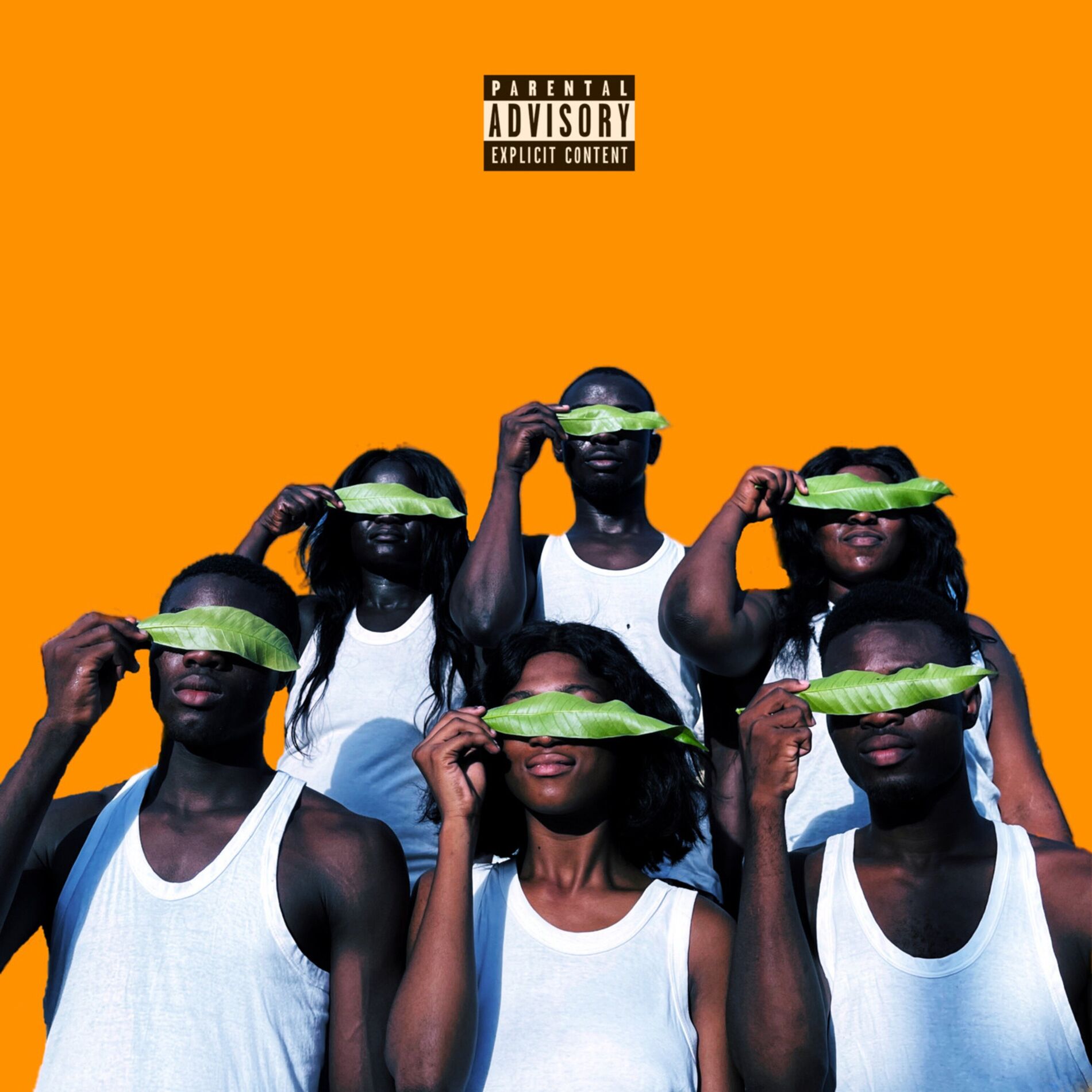 Album cover of Strange Human Emotion Called Fear