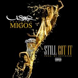 Cover of Still Got It