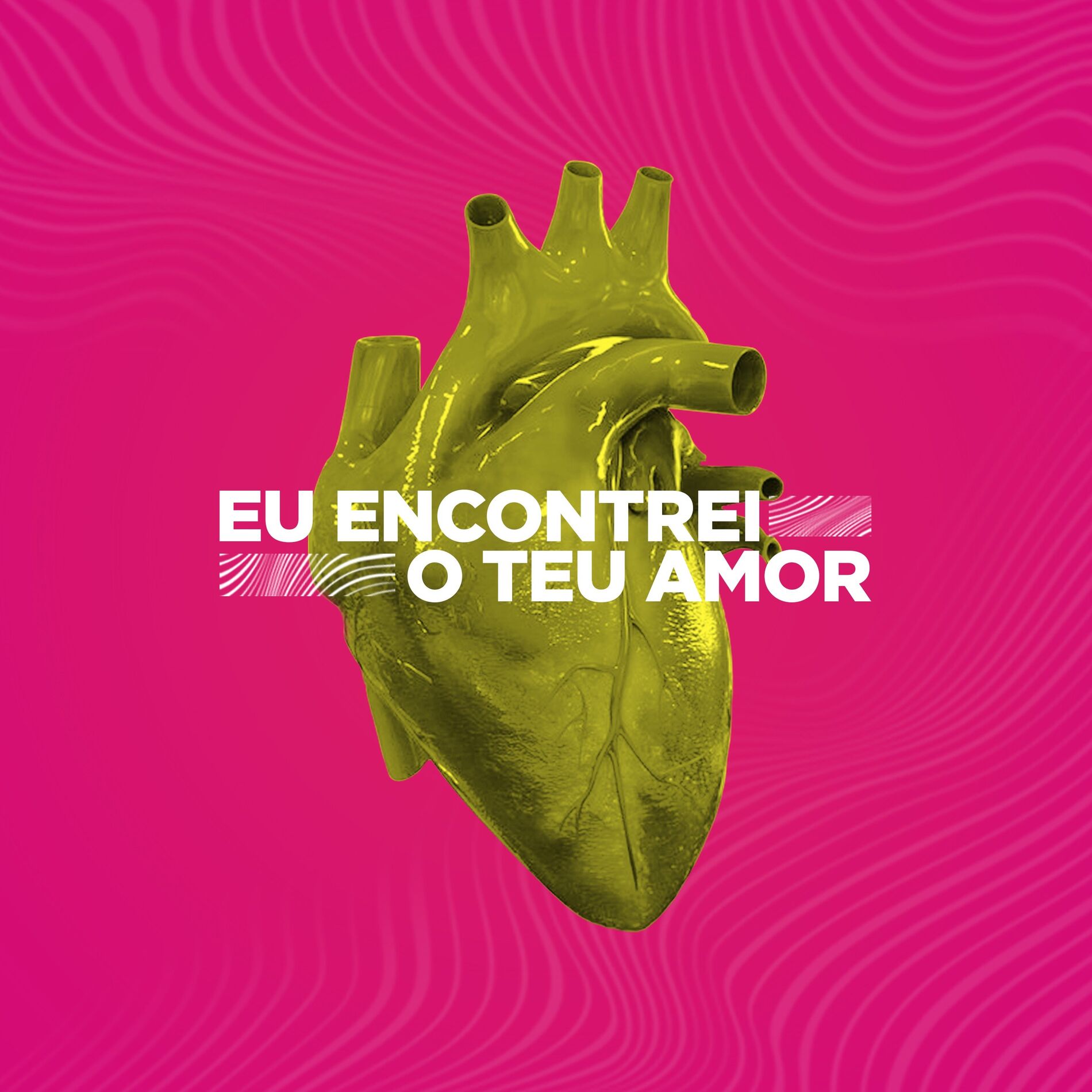 Album cover of Eu Encontrei o Teu Amor