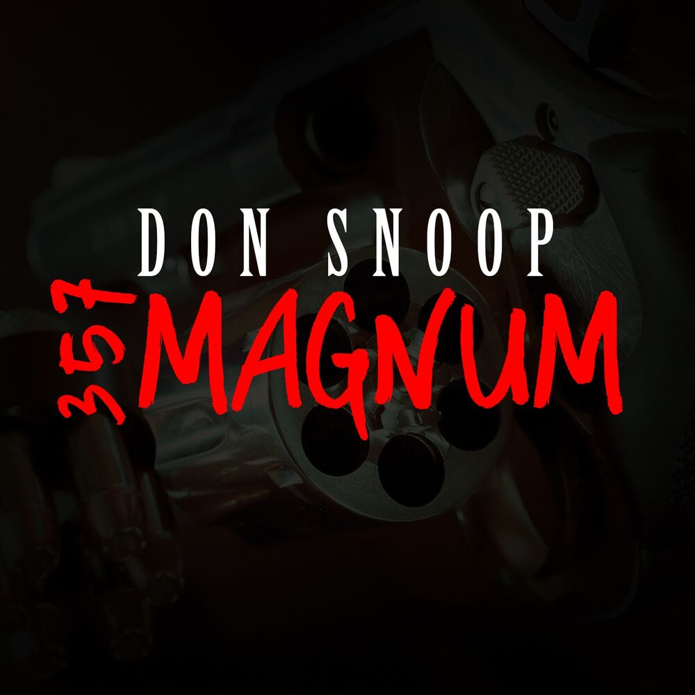 Picture of #357 magnum
