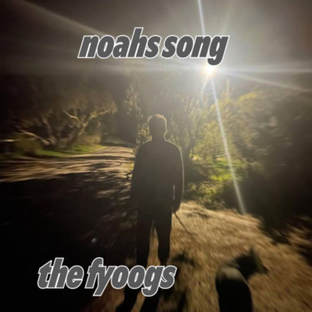 Album artwork for Noahs Song by The Fyoogs