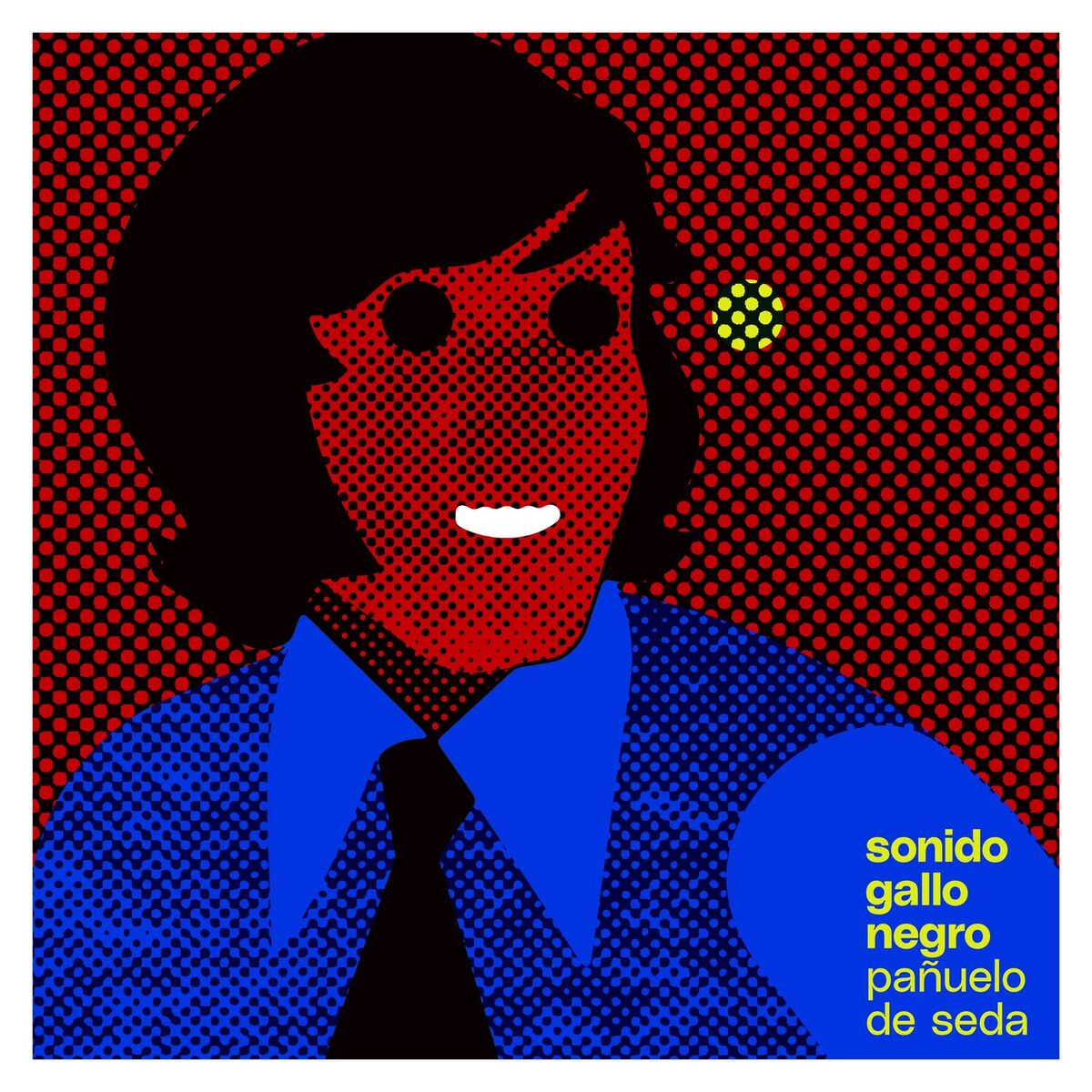 Album cover of Pañuelo De Seda