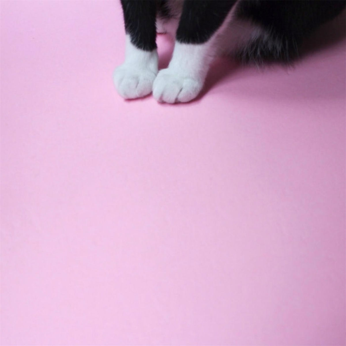 Album cover of Water